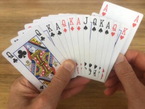 Zomeravondbridge 2025 in Lingewaard